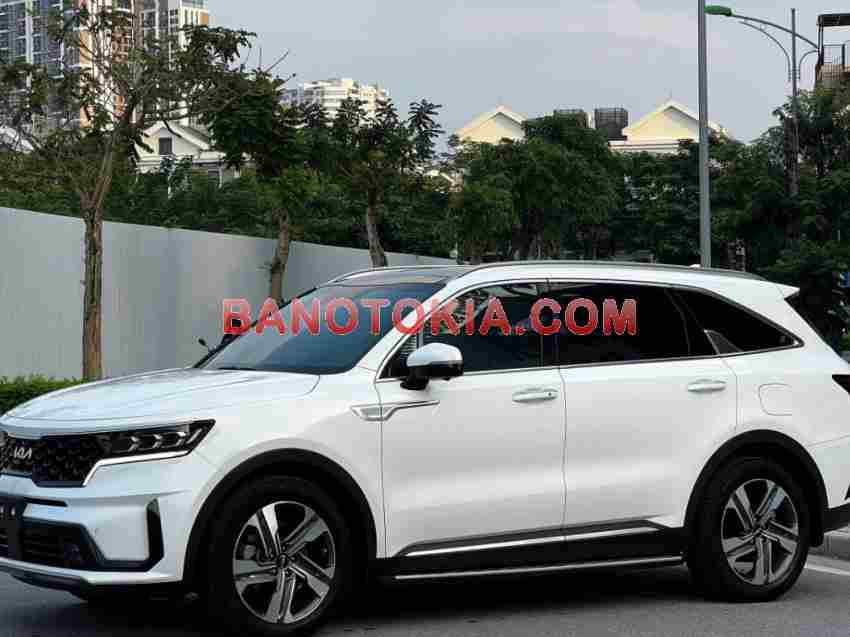 Cần bán xe Kia Sorento Signature 2.2 AT AWD năm 2024 màu Trắng cực đẹp Cần bán xe Kia Sorento Signature 2.2 AT AWD năm 2024 màu Trắng cực đẹp
