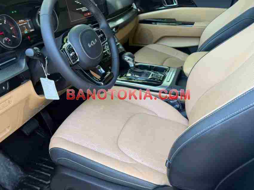 Bán Kia Carnival Luxury 2.2D 2024 - giá tốt