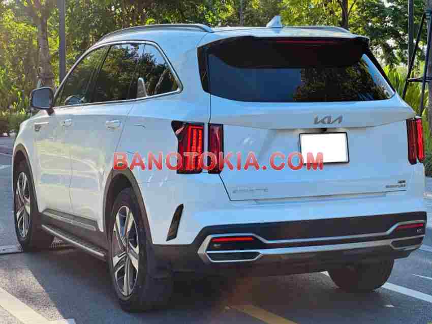 Bán Kia Sorento Signature 2.2 AT AWD 2024 - Trắng