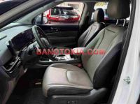 Cần bán xe Kia Carnival Premium 2.2D 8S 2024 Số tự động